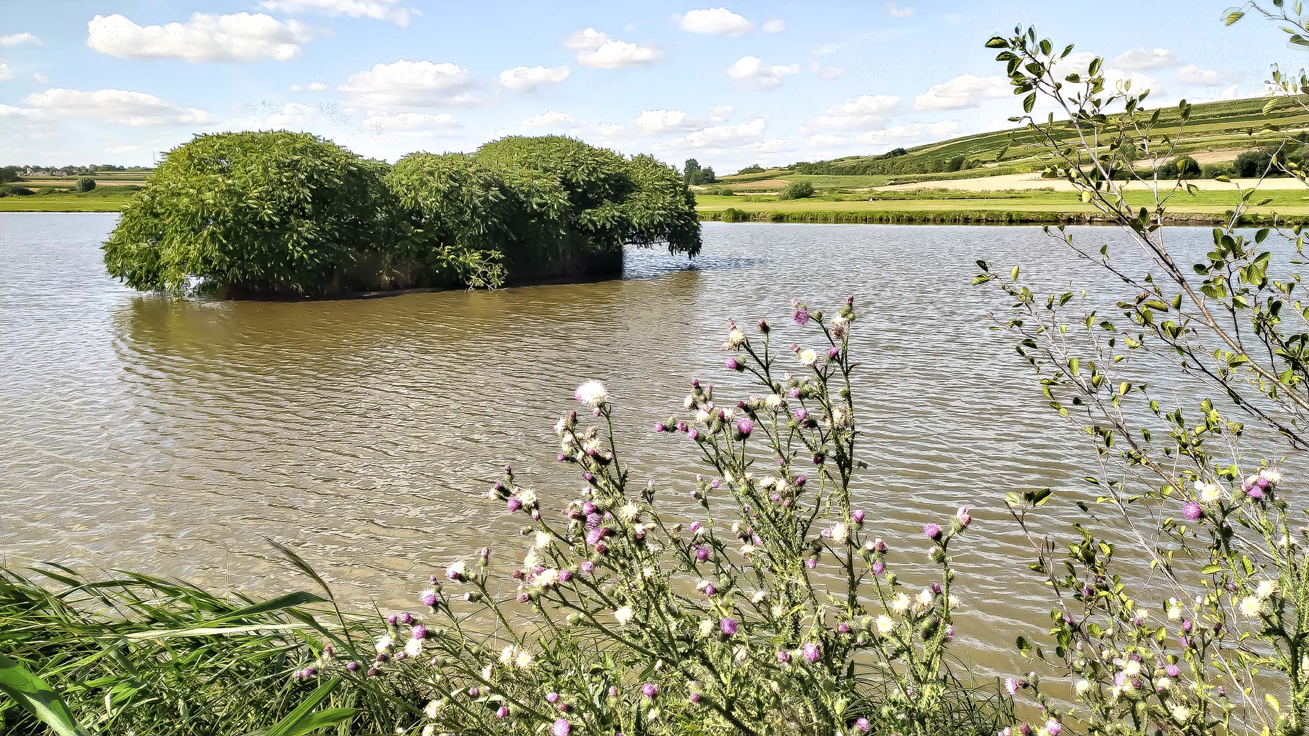 IMG 20200801 155220 kopia